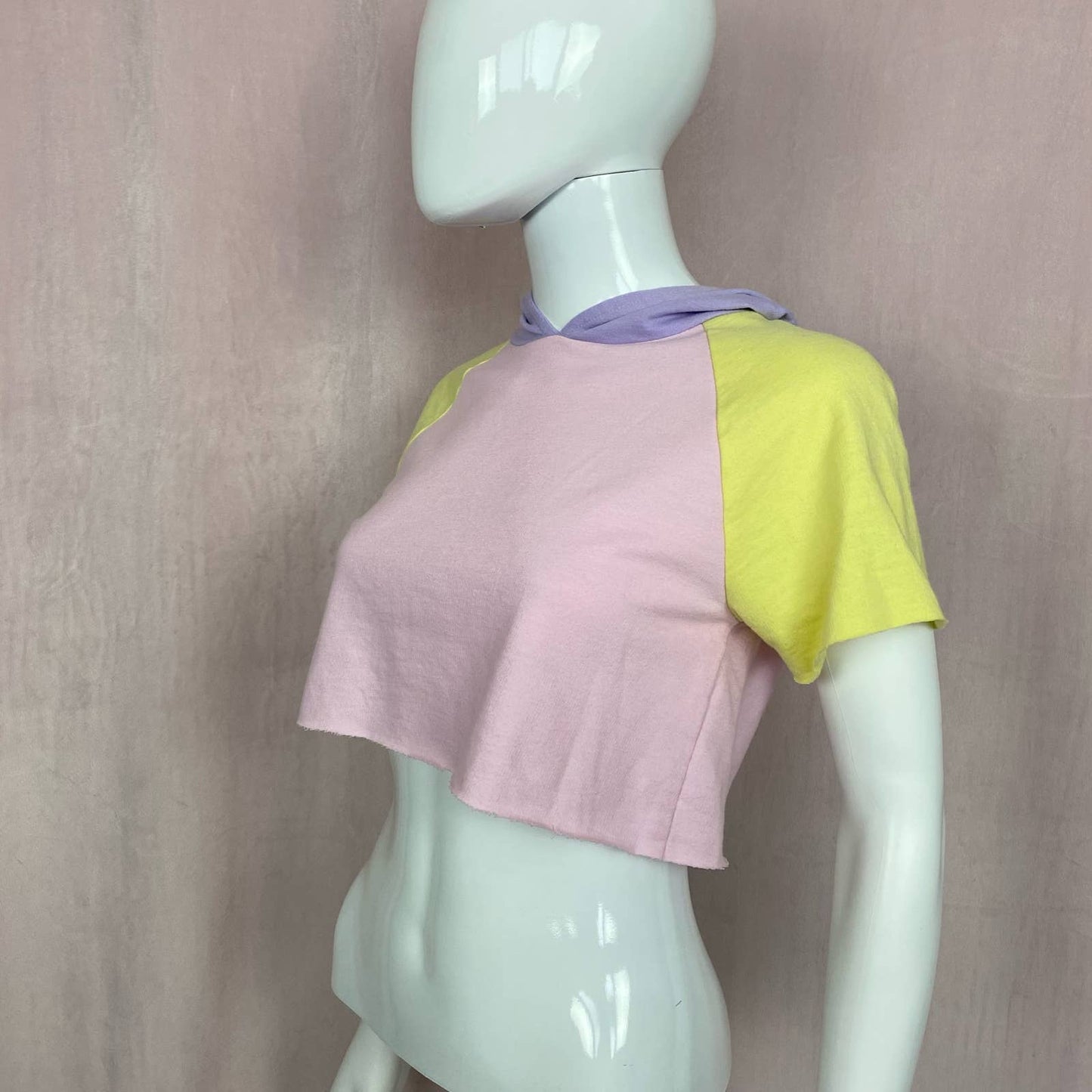 Reworked Arizona Crop Hoodie Tee, Size Small