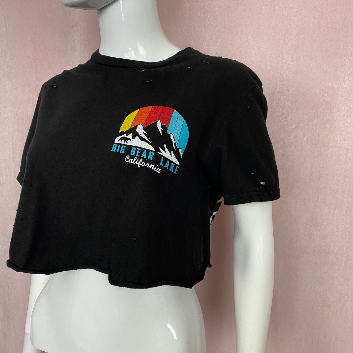Reworked Big Bear Distressed Crop Tee, Size Small