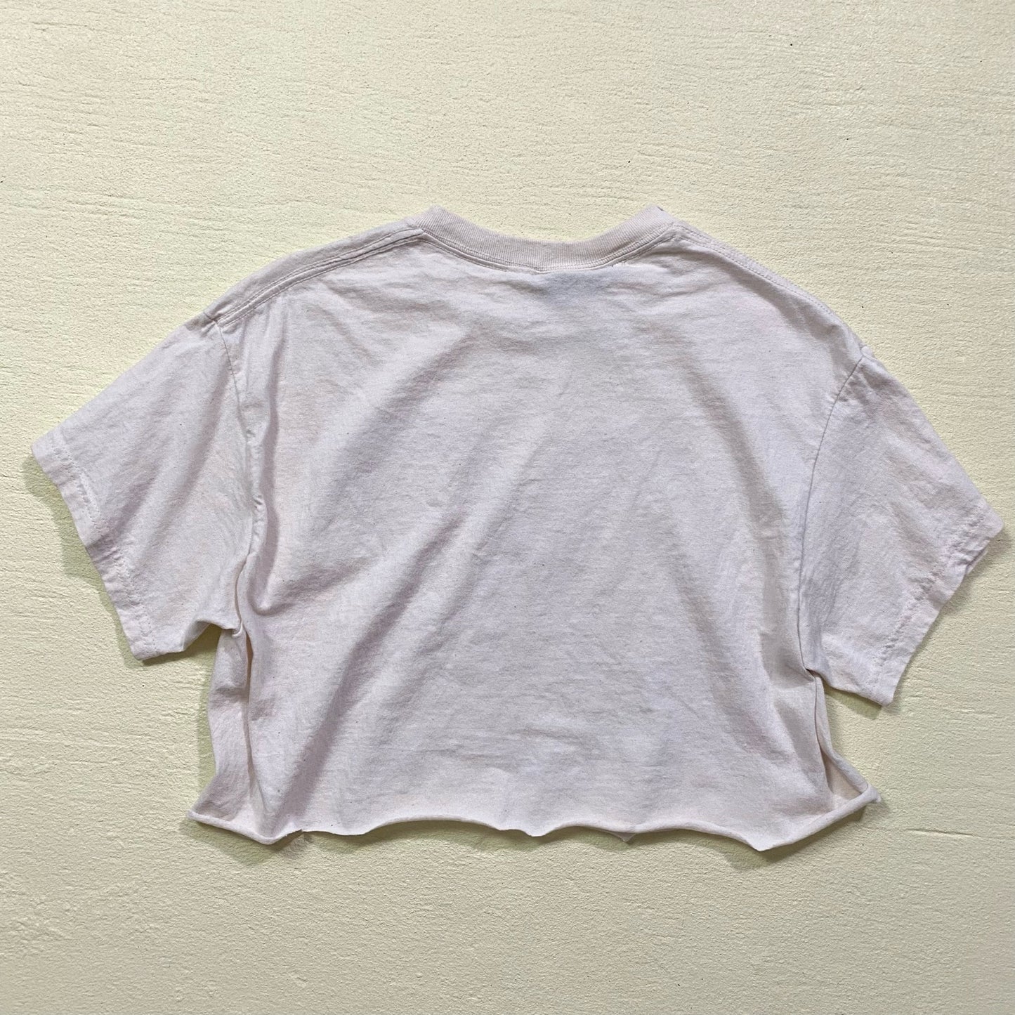 Reworked Islands in the Stream Crop Graphic Tee, Size Medium