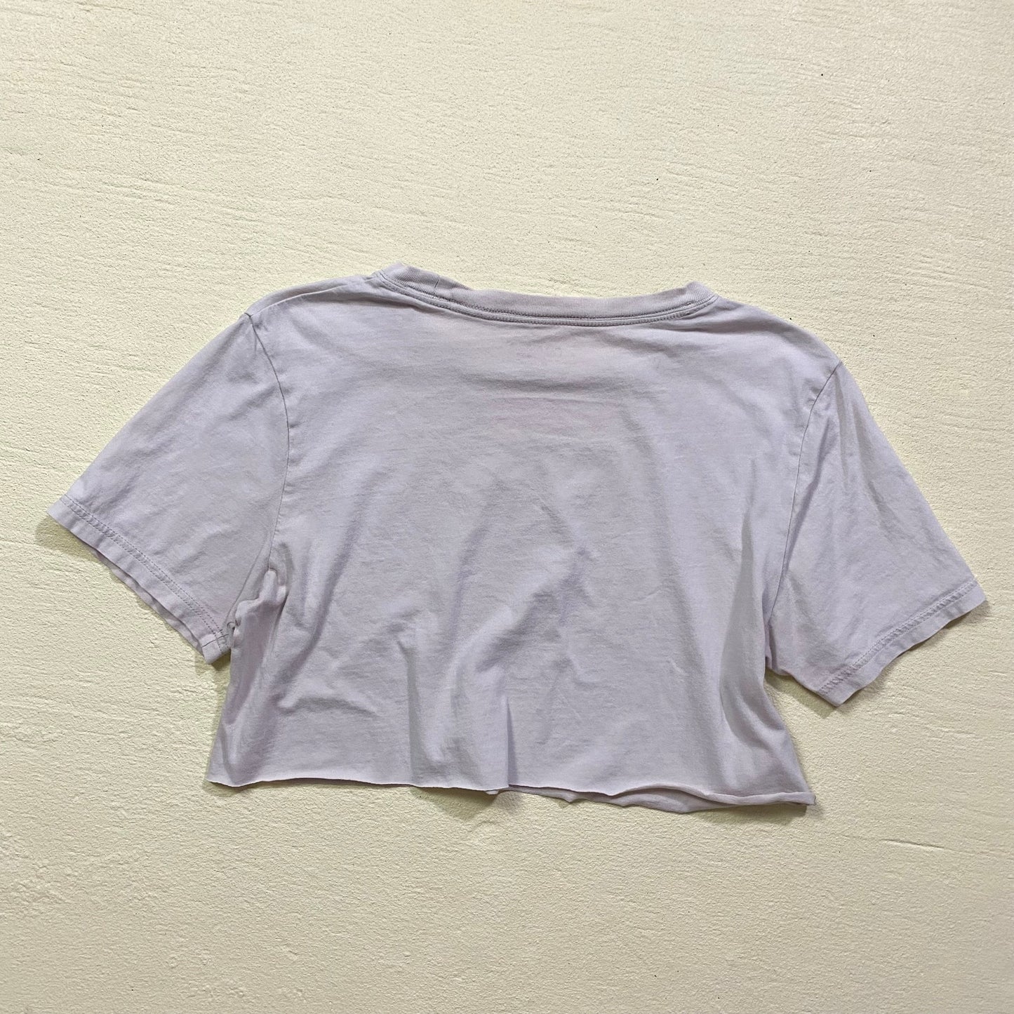 Reworked Make It Better Smiley Earth Crop Tee, Size S/M/L