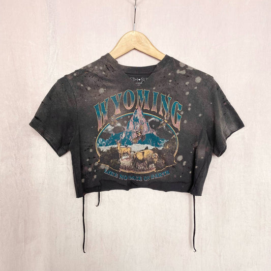 Upcycled Fifth Sun Wyoming Distressed Crop Tee, Size XS