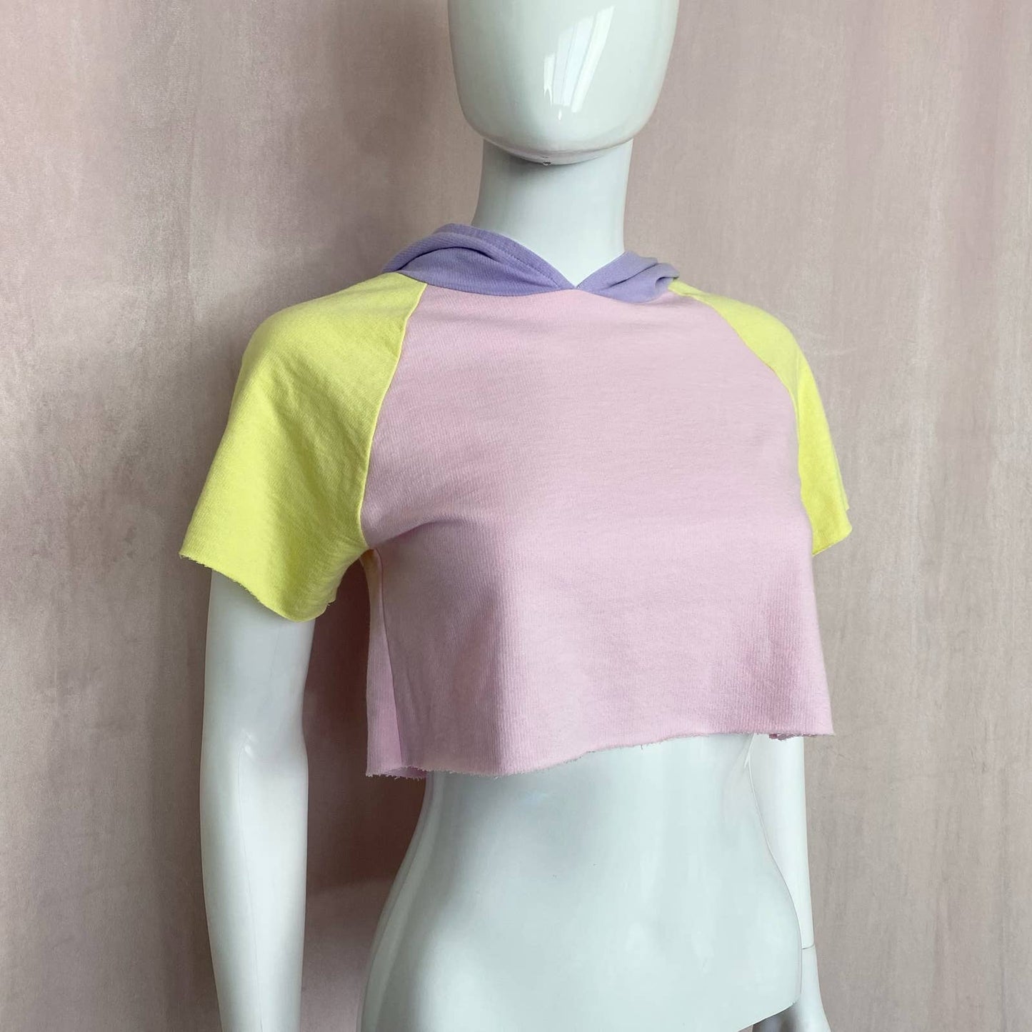 Reworked Arizona Crop Hoodie Tee, Size Small