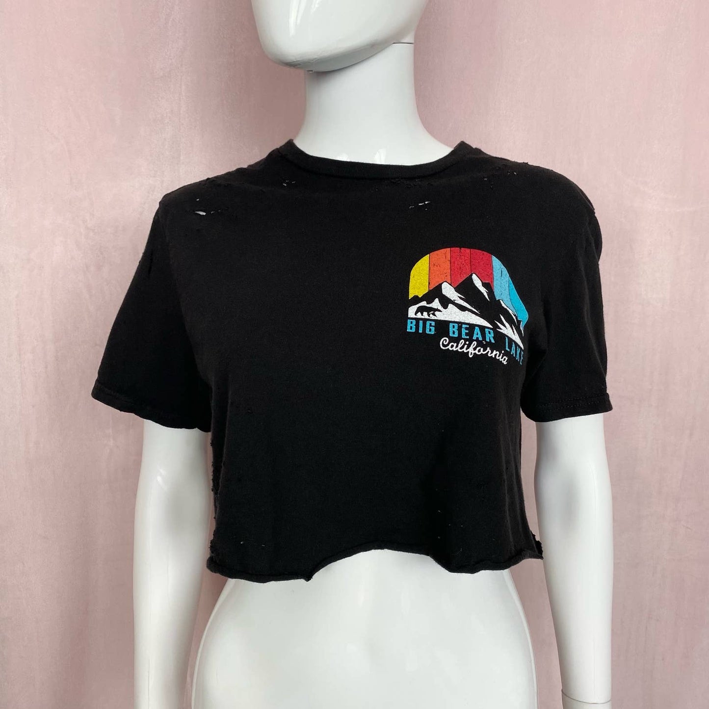 Reworked Big Bear Distressed Crop Tee, Size Small