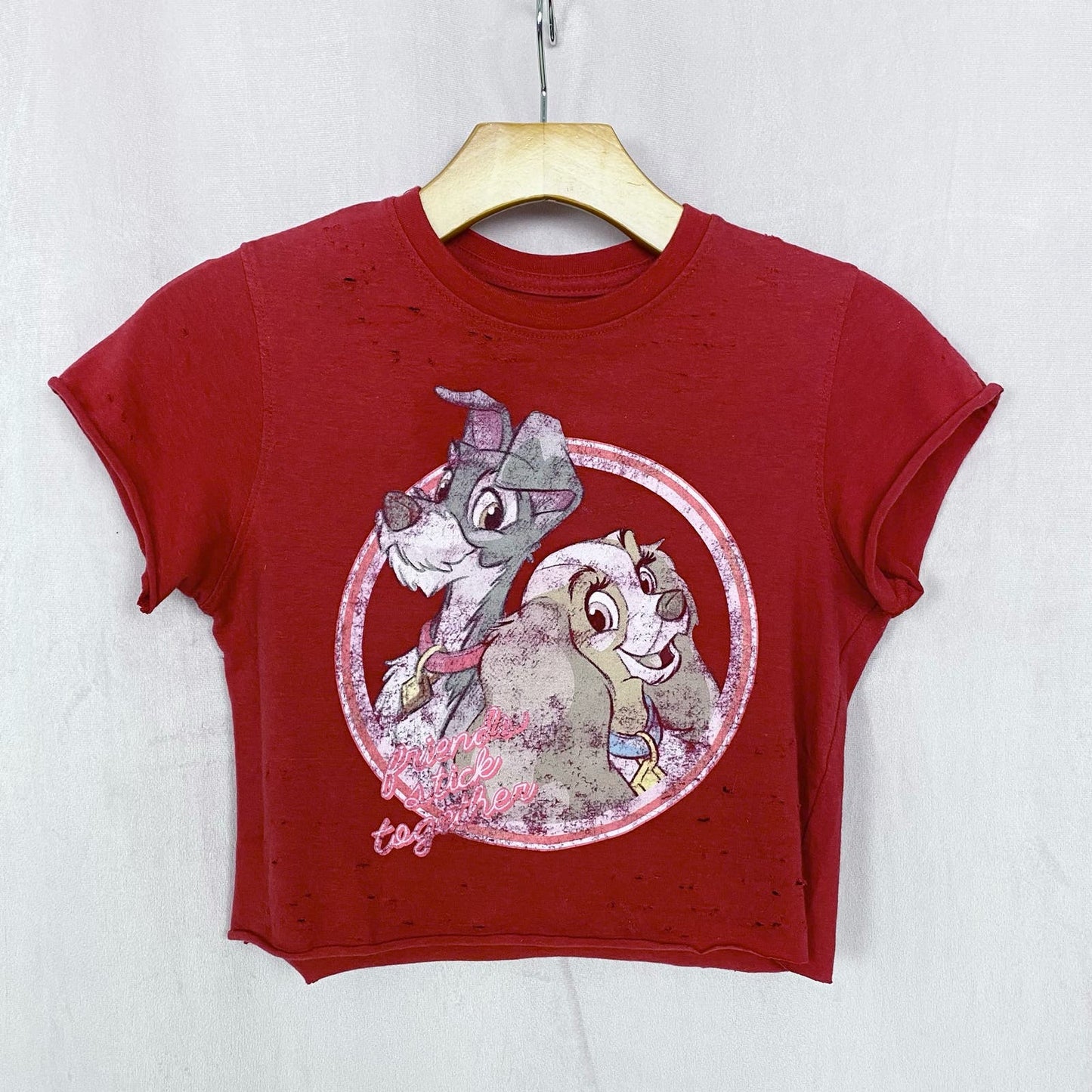 Reworked Disney Lady And The Tramp Distressed Crop Tee