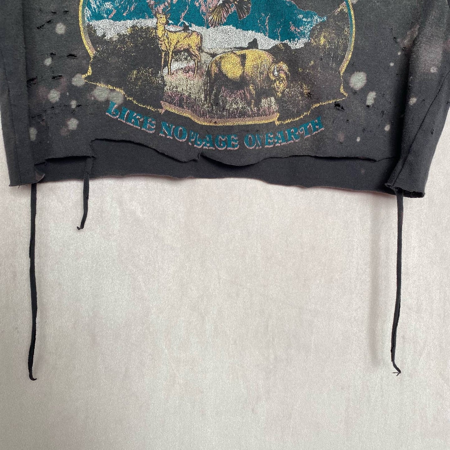Upcycled Fifth Sun Wyoming Distressed Crop Tee, Size XS