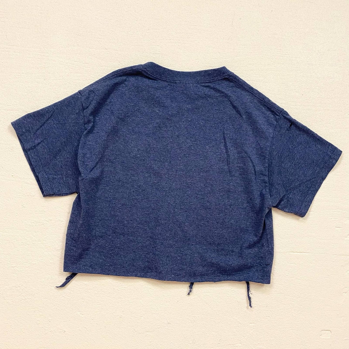 Reworked California Distressed Crop Tee, Size Small