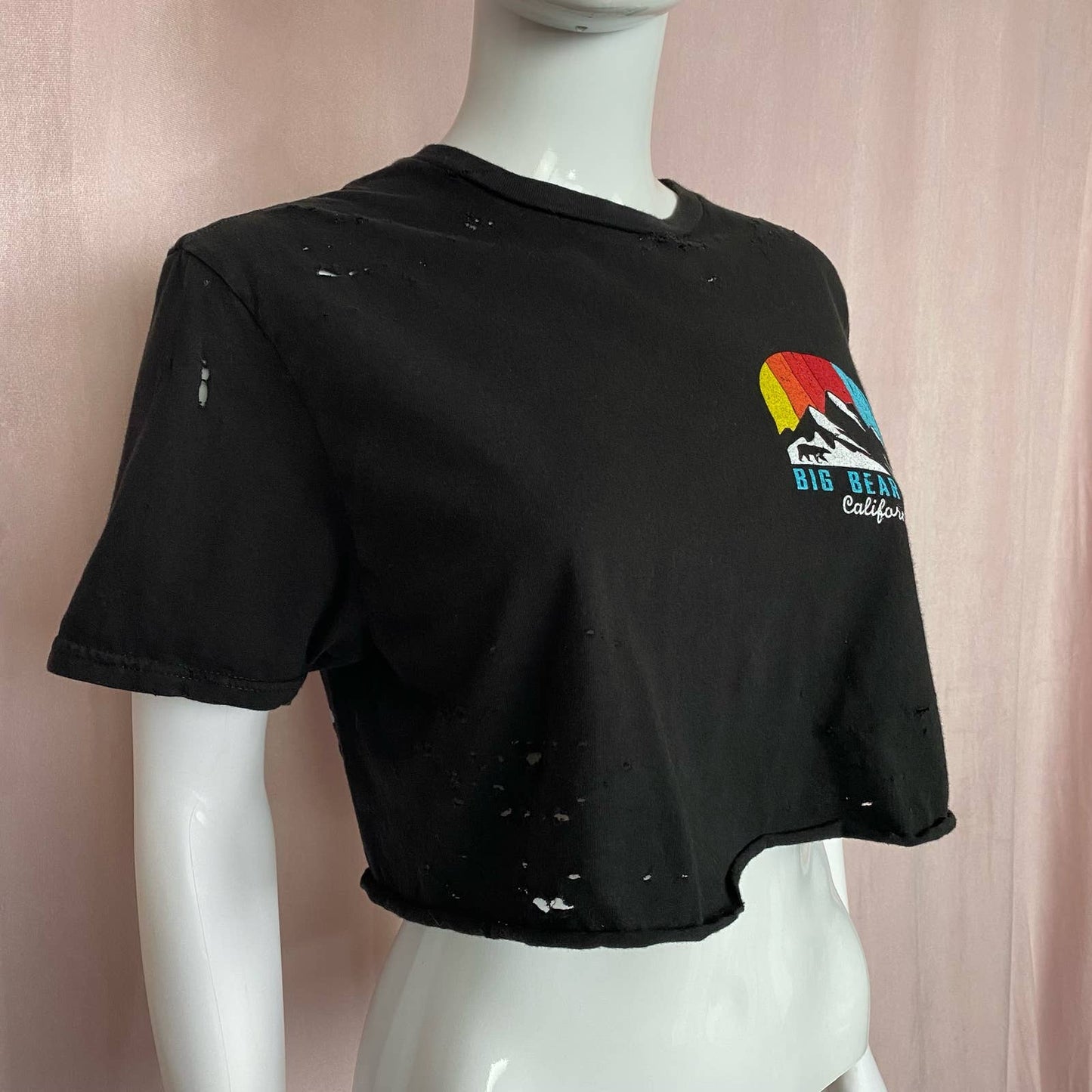 Reworked Big Bear Distressed Crop Tee, Size Small