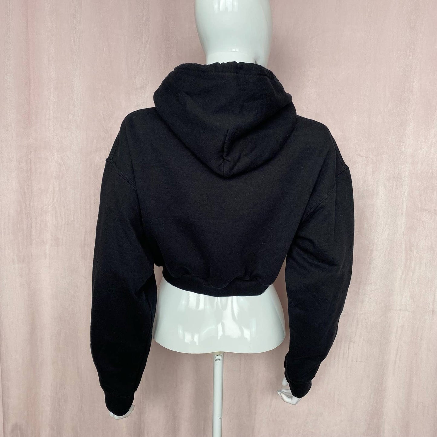 Reworked Aaliyah Crop Hoodie, Size Medium