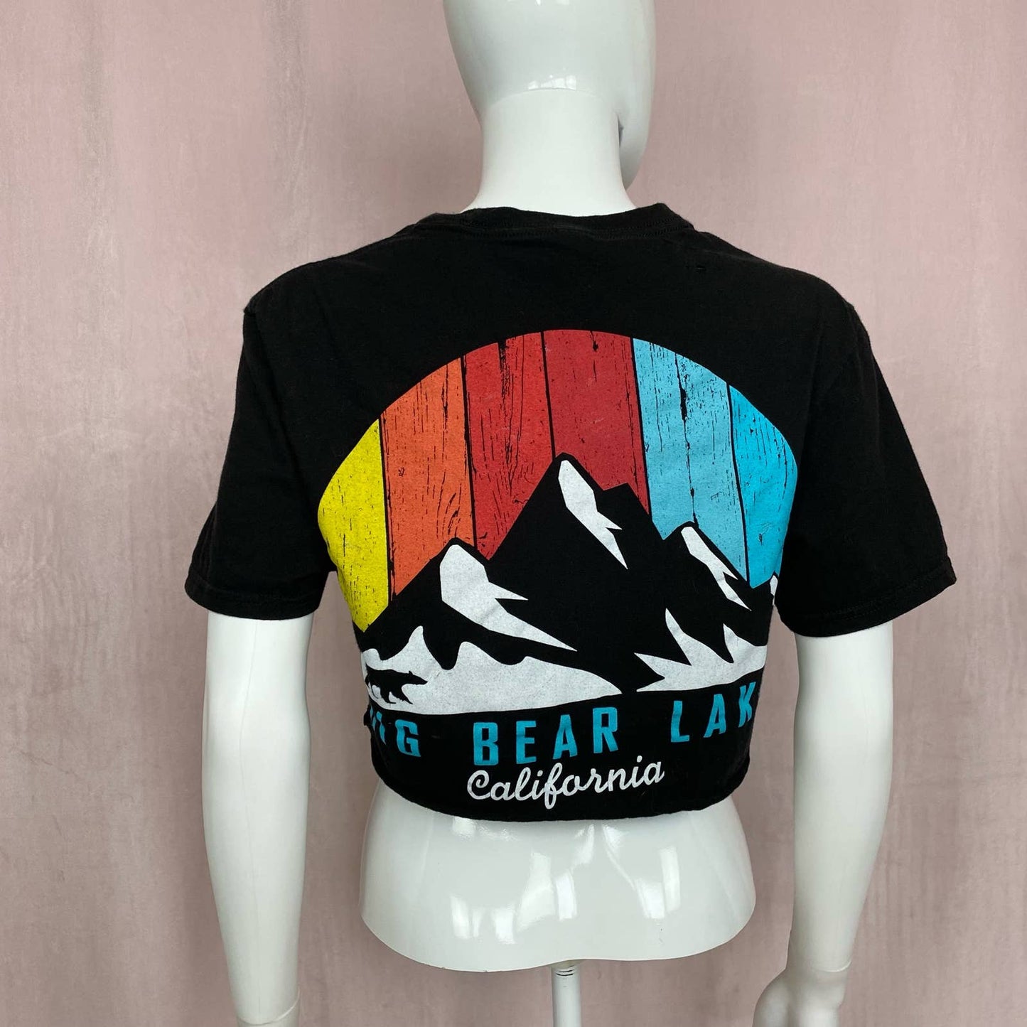 Reworked Big Bear Distressed Crop Tee, Size Small