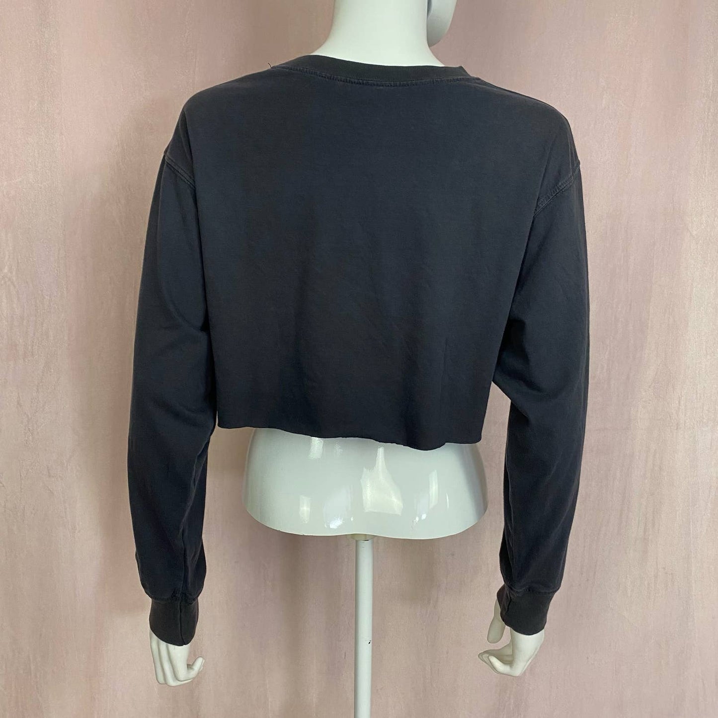 Reworked Brandy Melville Saint Barth Crop Long Sleeve