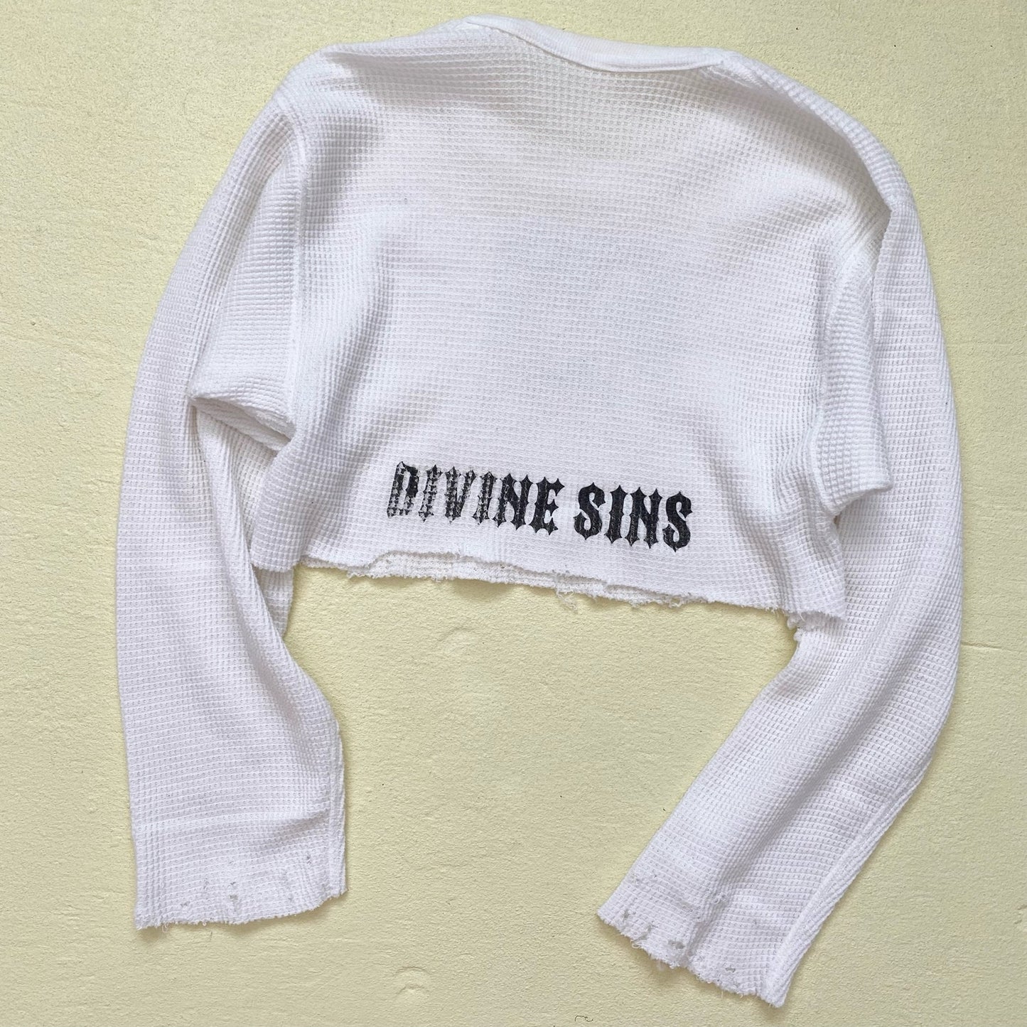 Reworked Divine Sins Unicorn Crop Long Sleeve, Size Small