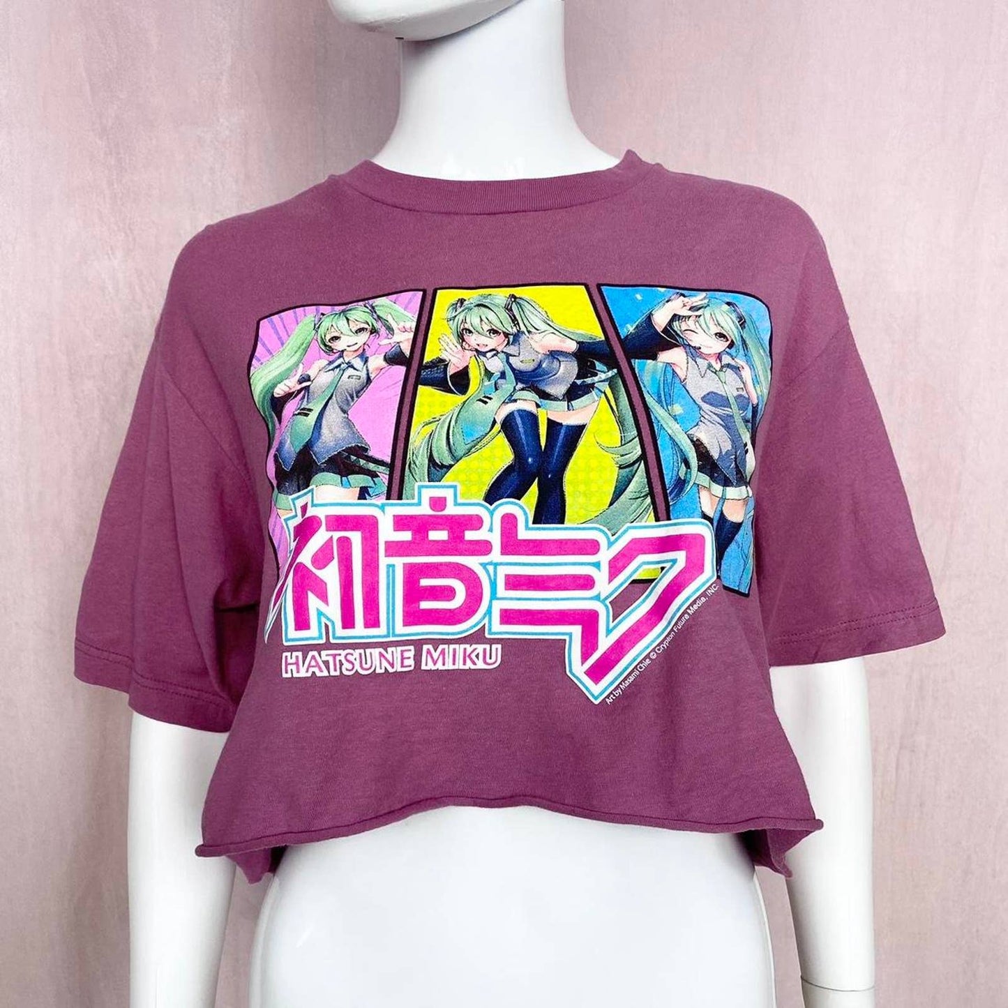 Reworked Secondhand Hatsune Miku Anime Crop Tee, Size Large