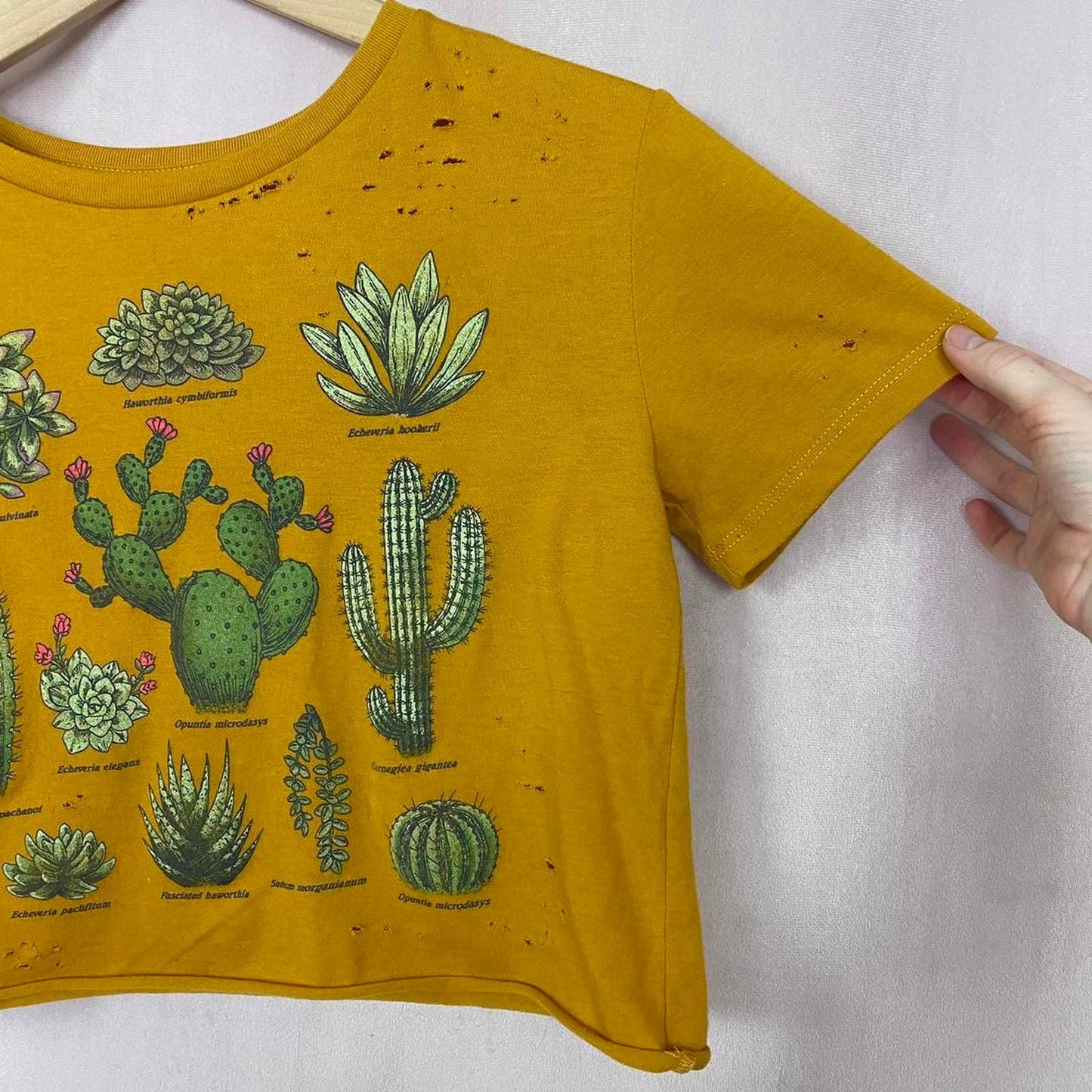 Reworked Fifth Sun Cactus Distressed Crop Tee, Size XS
