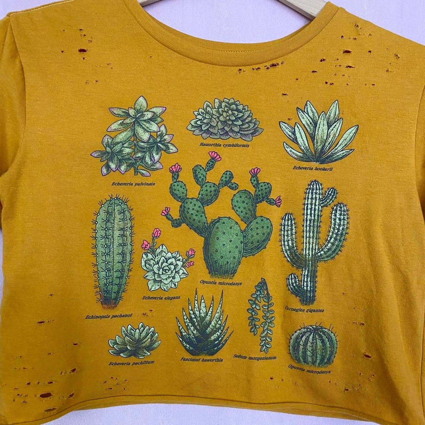 Reworked Fifth Sun Cactus Distressed Crop Tee, Size XS