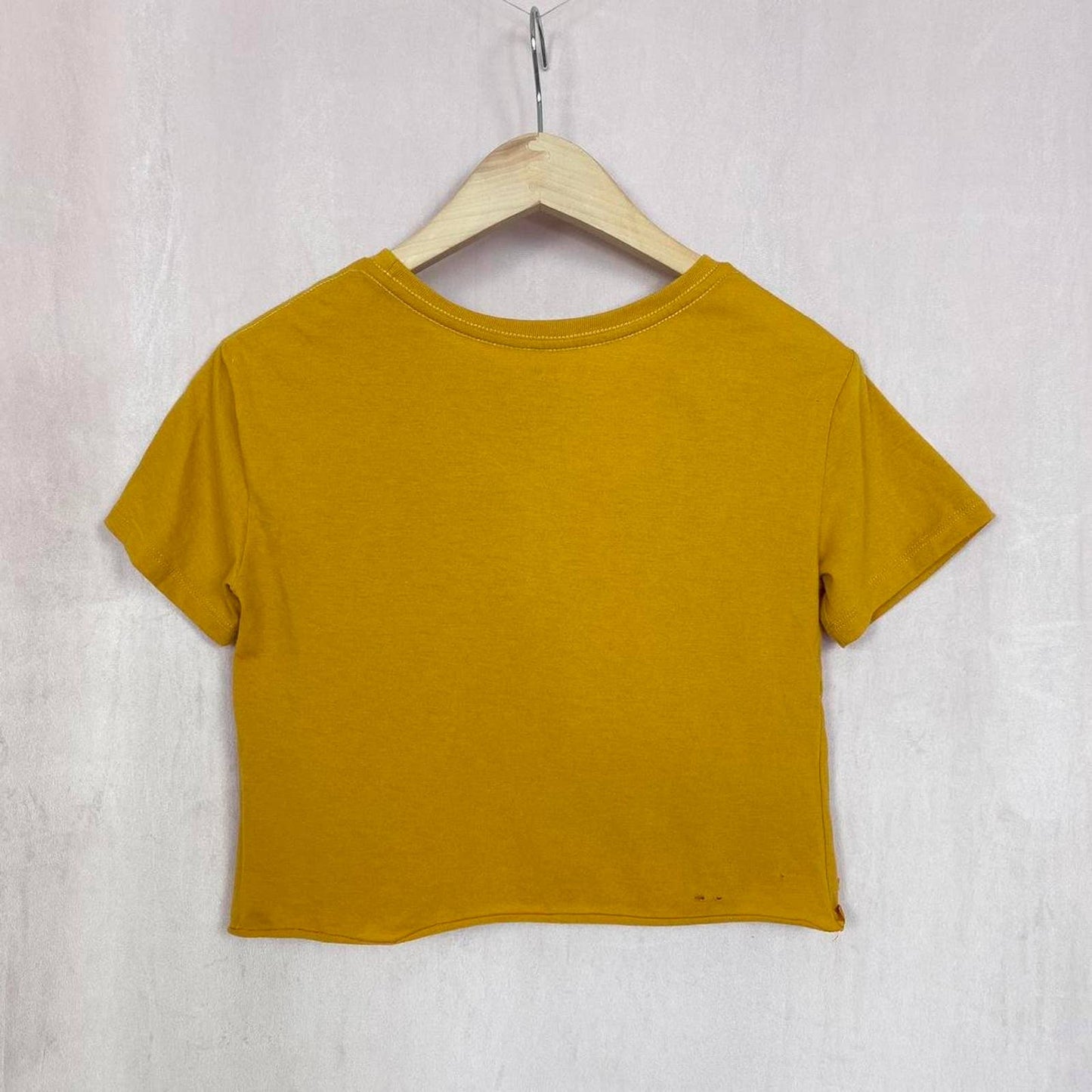 Reworked Fifth Sun Cactus Distressed Crop Tee, Size XS