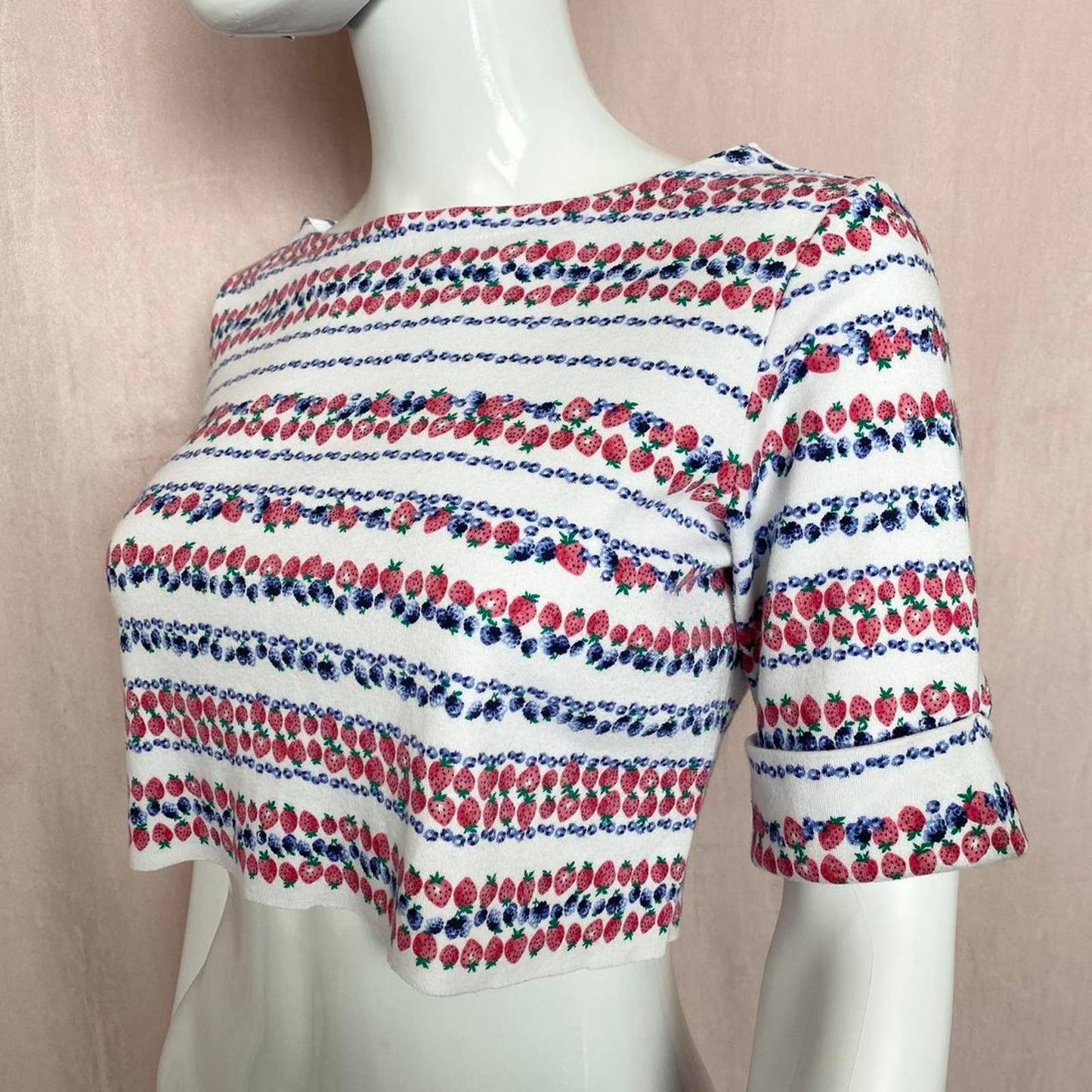 Reworked Karen Scott Berry Print Crop Top, Petite Small