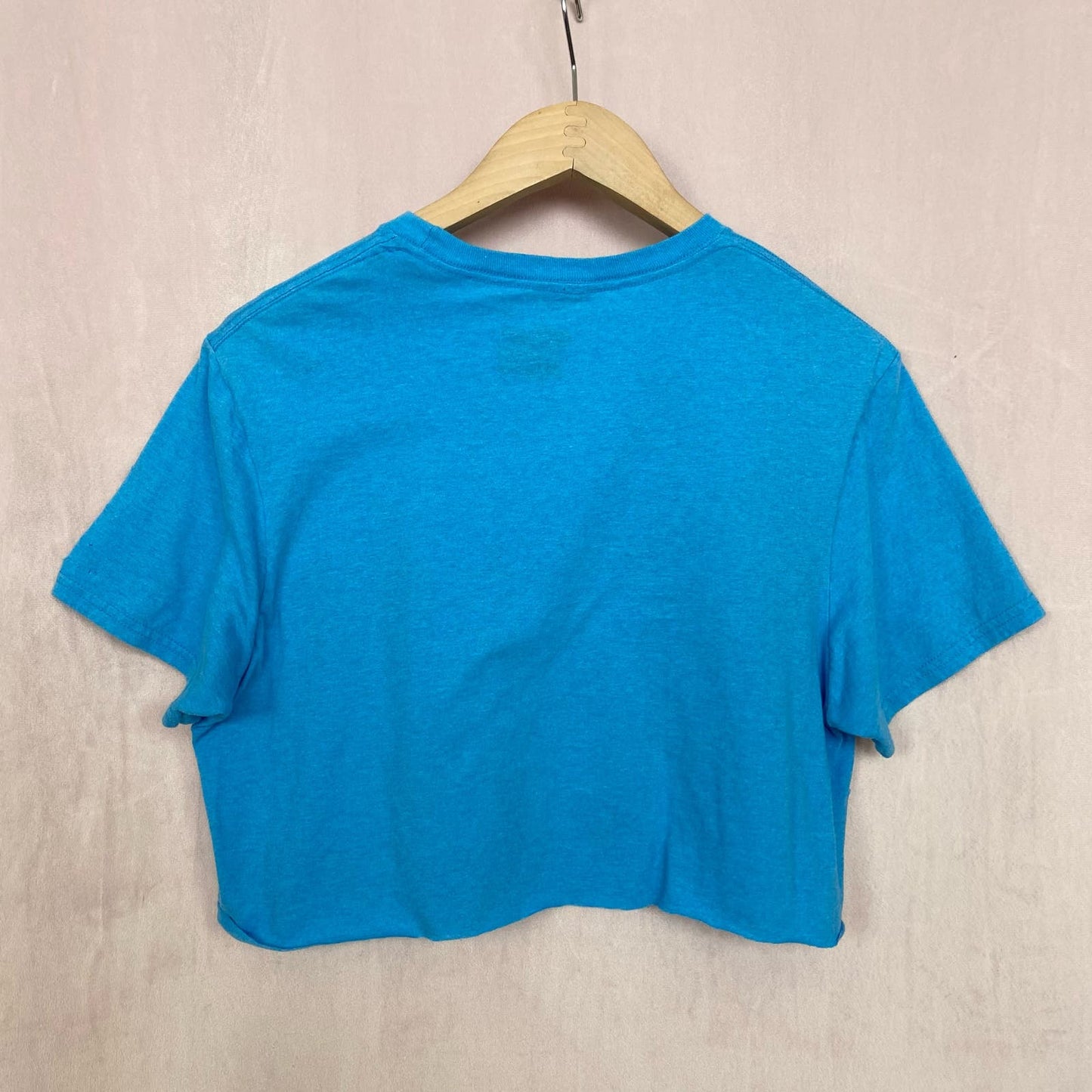 Reworked Tom & Jerry Distressed Crop Graphic Tee, Size Medium
