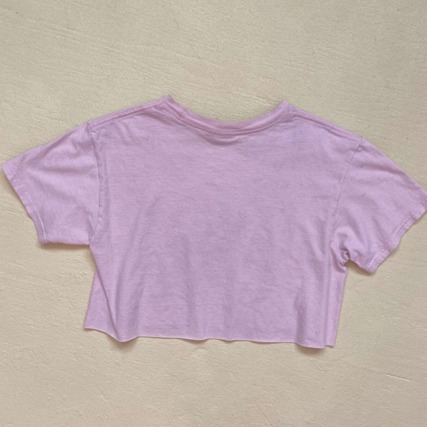 Reworked Disney Princess Aurora Sleeping Beauty Crop Tee, Size XS