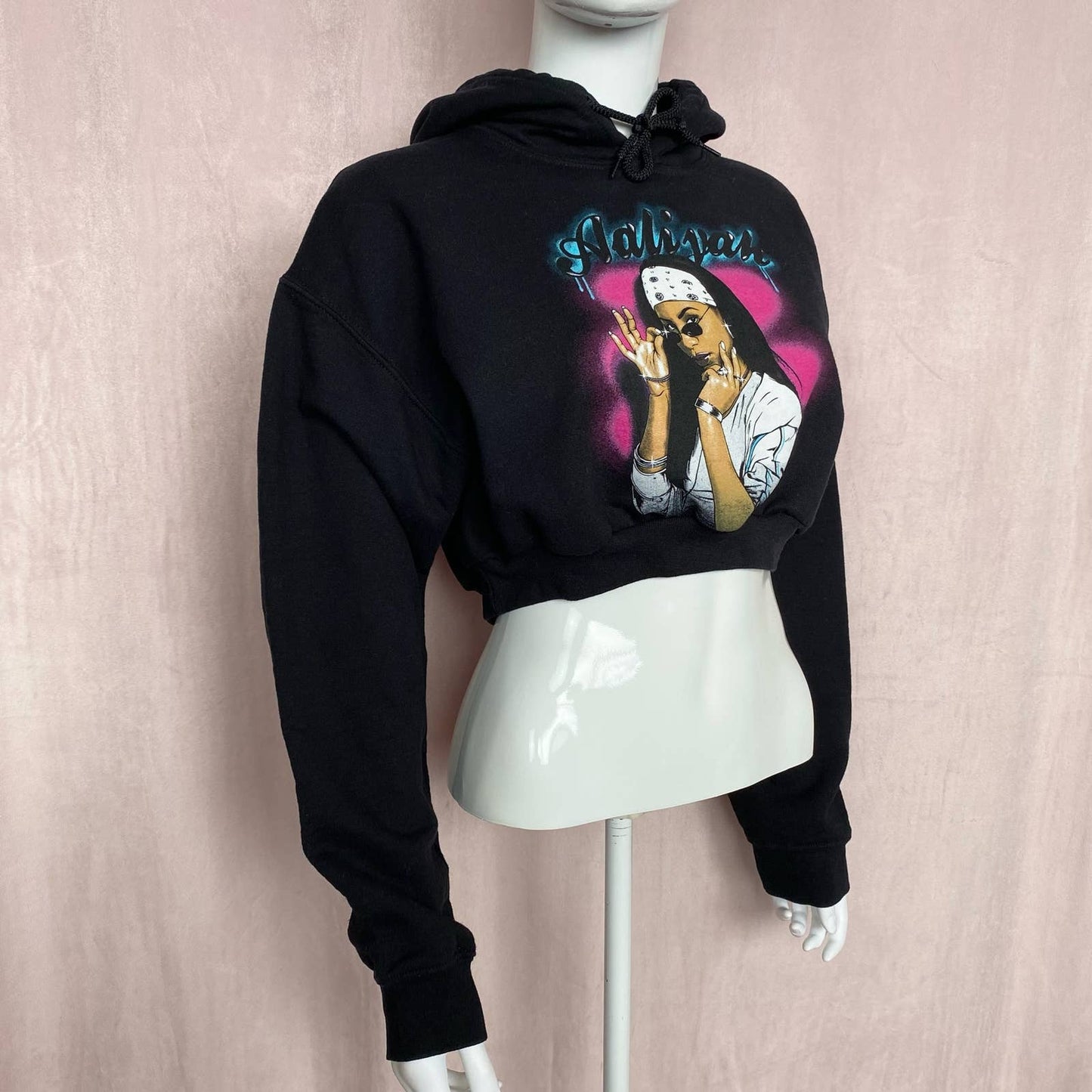 Reworked Aaliyah Crop Hoodie, Size Medium