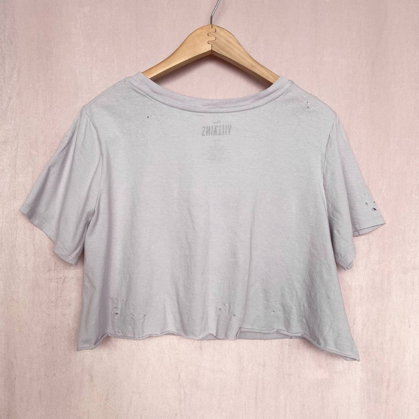 Reworked Disney Villains Distressed Crop Tee, Size 1X