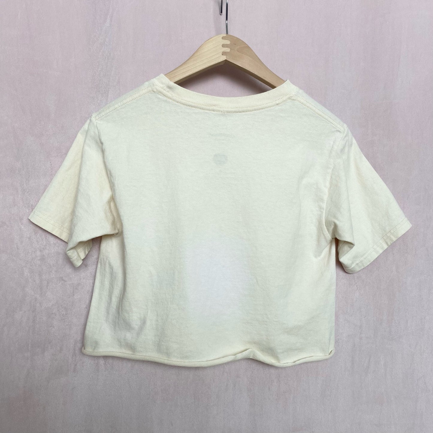 Reworked Sanrio Cinnamoroll Graphic Crop Tee, Size Small