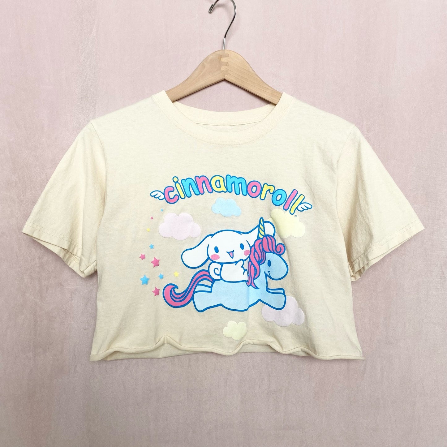 Reworked Sanrio Cinnamoroll Graphic Crop Tee, Size Small