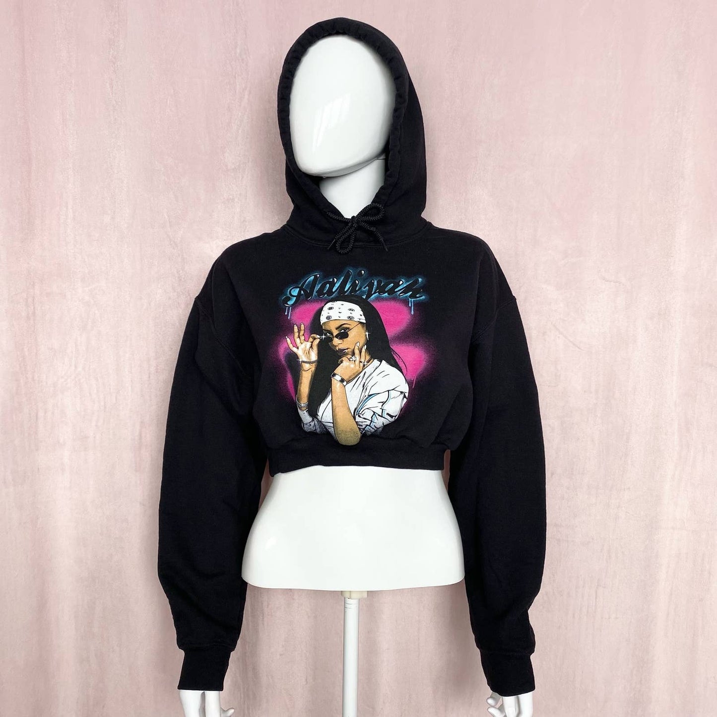 Reworked Aaliyah Crop Hoodie, Size Medium