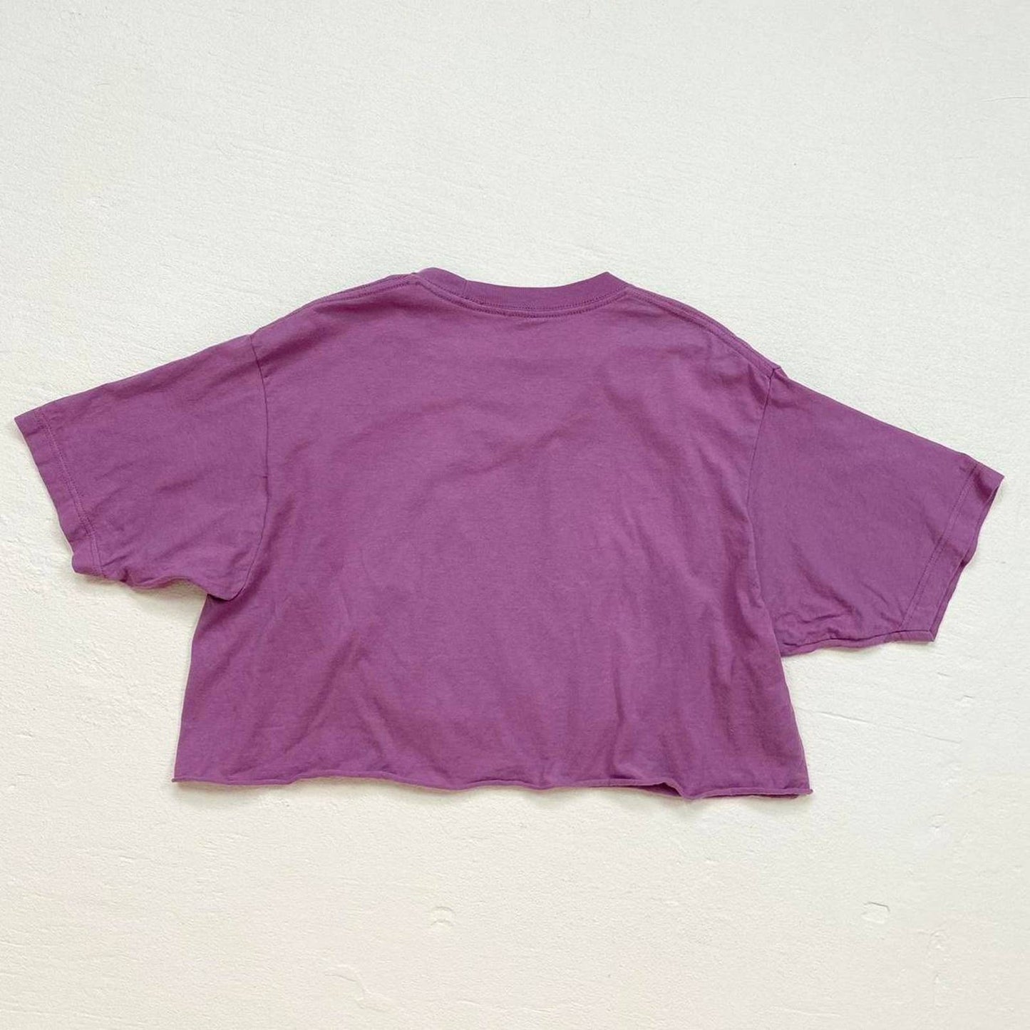 Reworked Secondhand Hatsune Miku Anime Crop Tee, Size Large