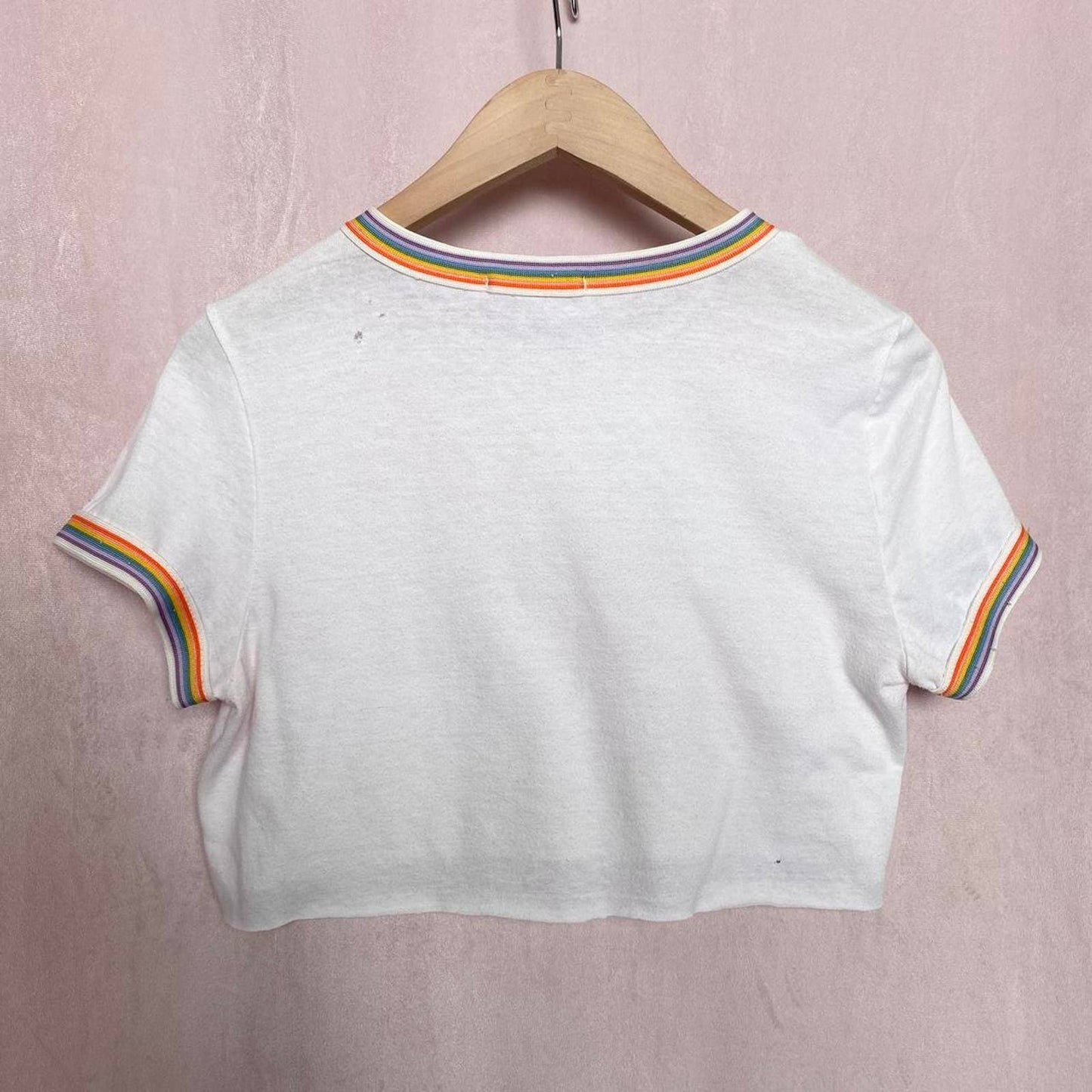 Reworked Marine Layer Distressed Rainbow Trim Crop Tee, Size Small