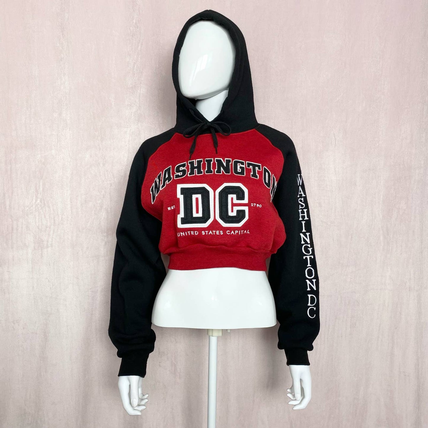 Reworked Washington DC Crop Hoodie, Size S/M